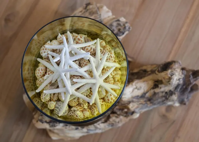 Casa Vela Marina, بْوُرتو كاليرو